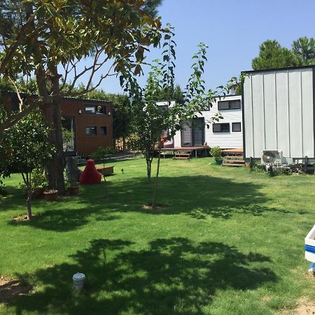 Sakiz Tiny House & Apart Urla Exterior foto