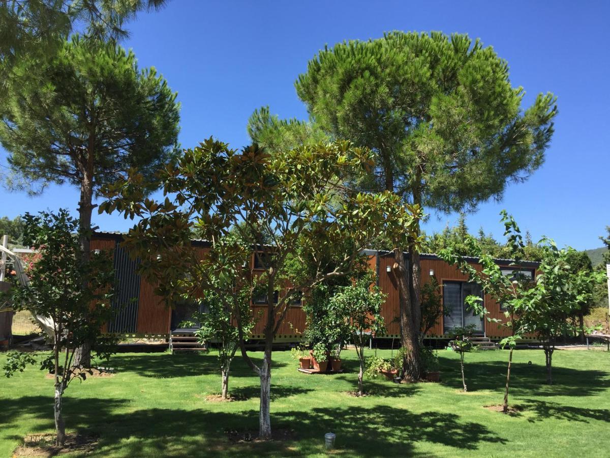 Sakiz Tiny House & Apart Urla Exterior foto